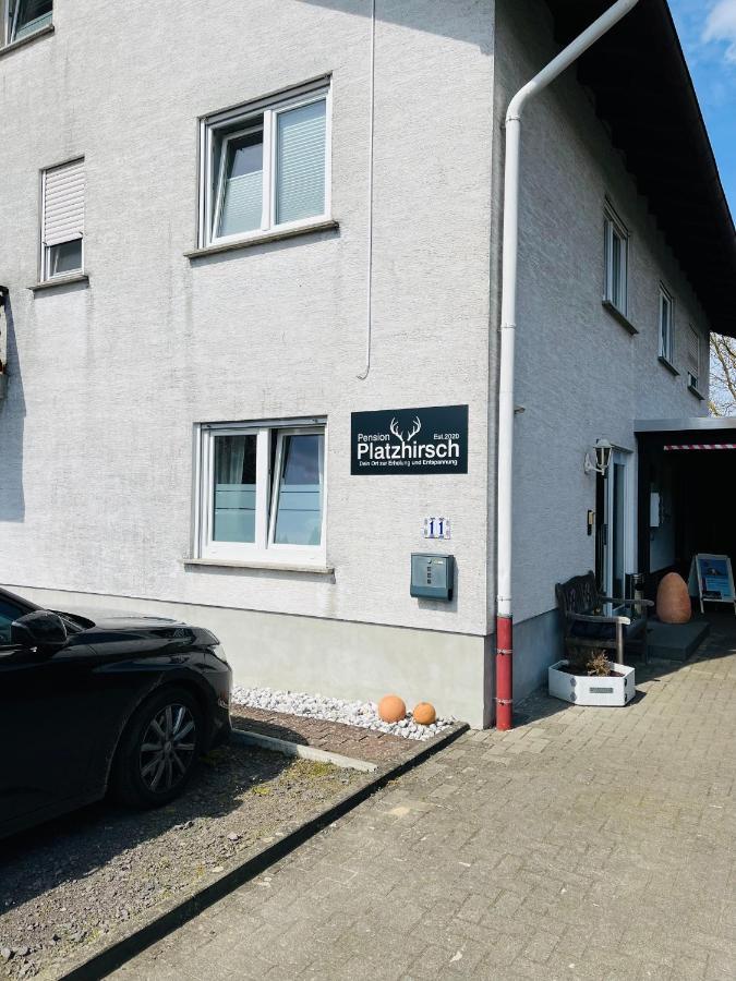 Pension Platzhirsch Mücke Extérieur photo