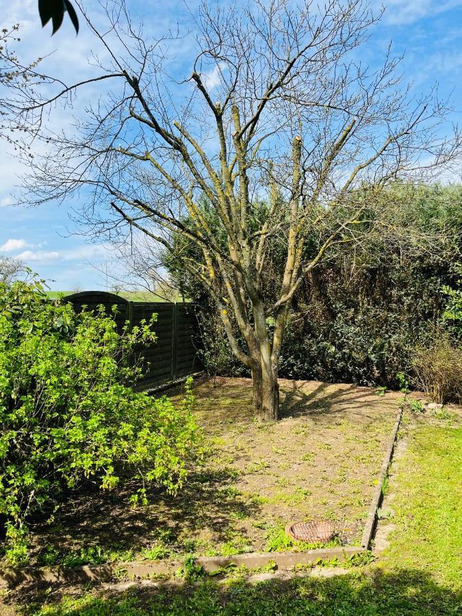 Pension Platzhirsch Mücke Extérieur photo